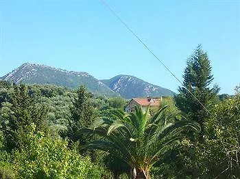 Olga Apartamento